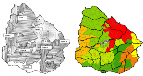 Uruguayo 1ª División - AUF